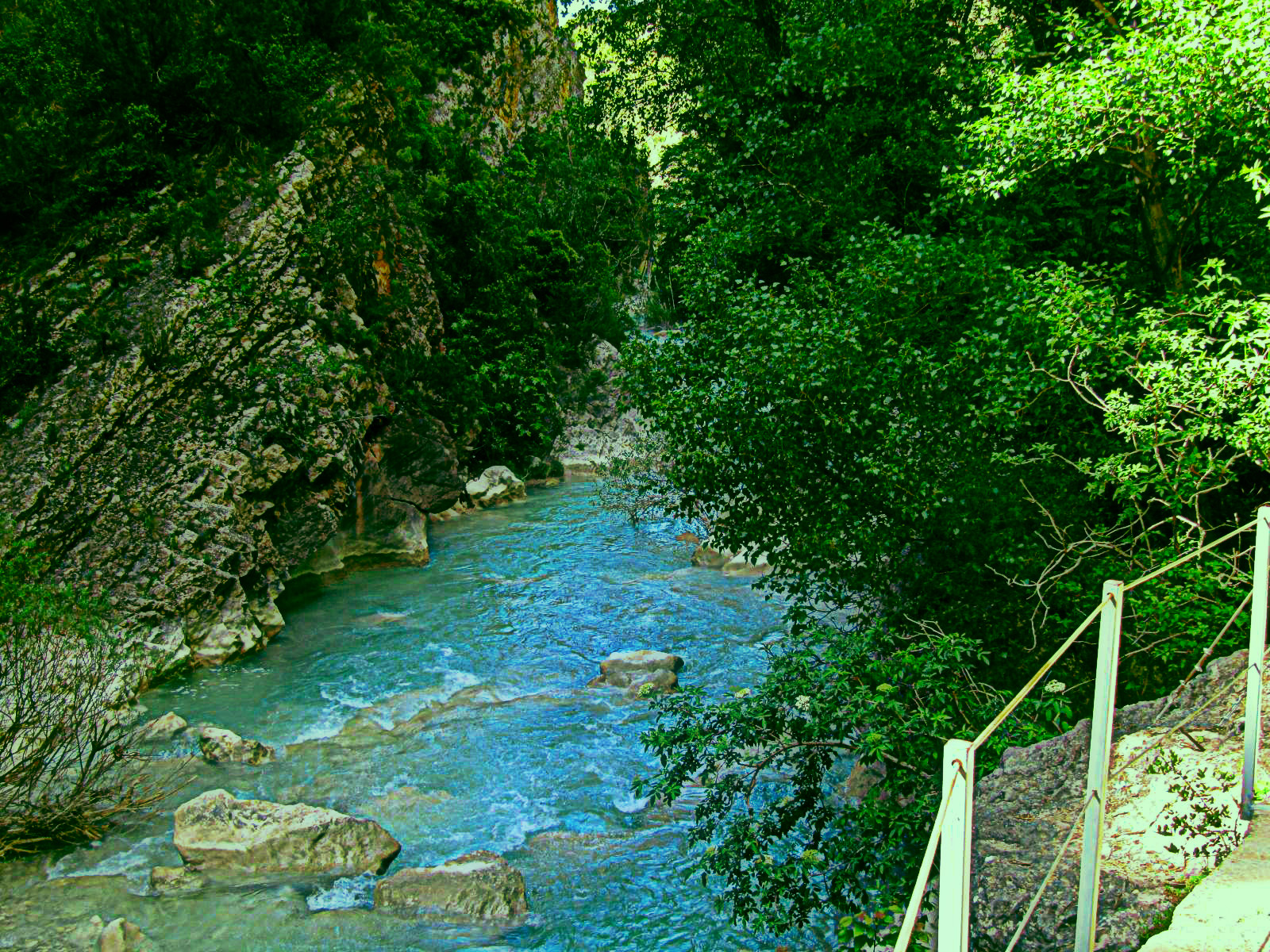 IMG_4831-dn2.JPG