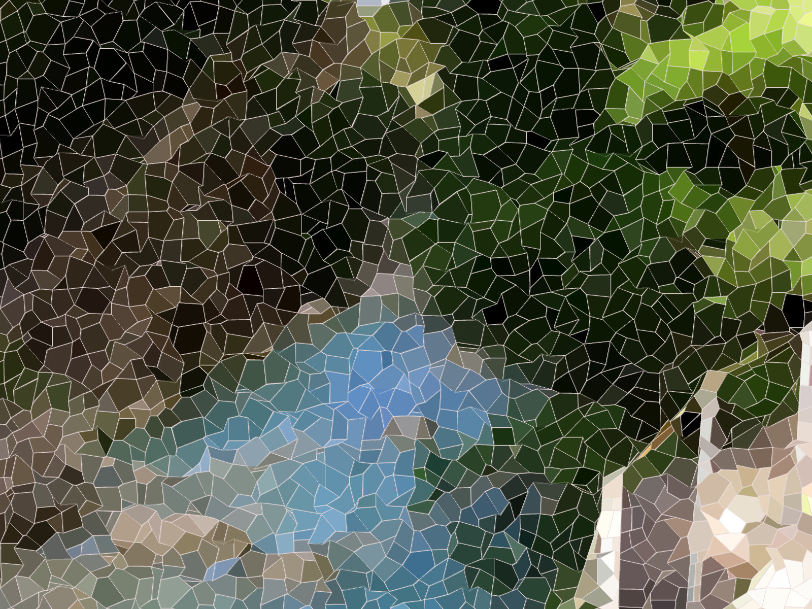 IMG_4831-dn3-funny-mosaic-E.JPG