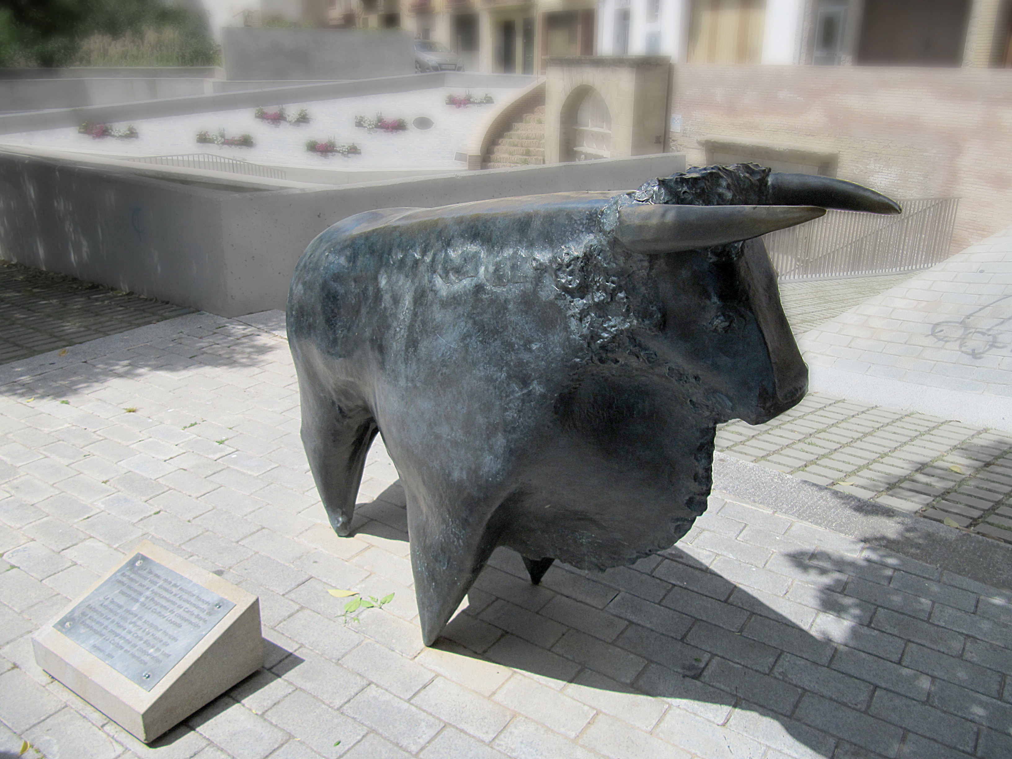 Bull.JPG