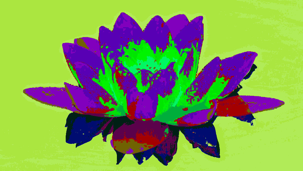bloom-blossom-flora-DN_CrazyWarhol_1_GimpEval-2.jpg