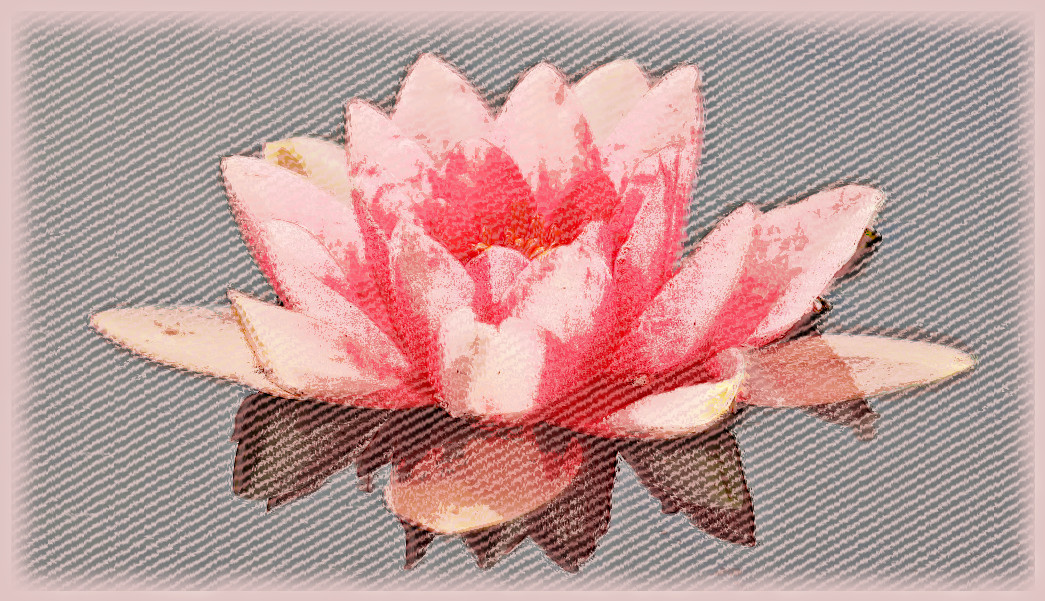 bloom-blossom-flora-DN_Draws2phases_aquarel_GimpEval-2.jpg