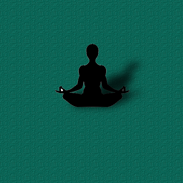 yoga-mod-blurred-shadow.png