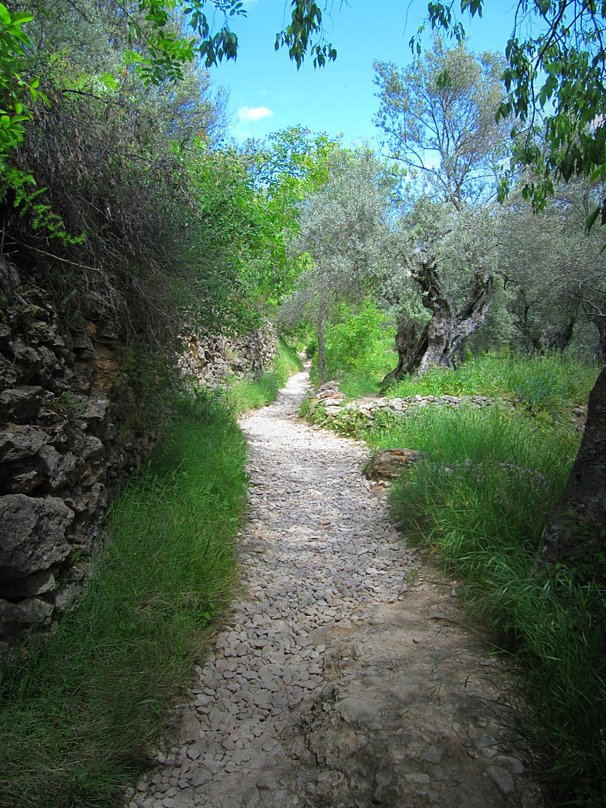 Path.JPG