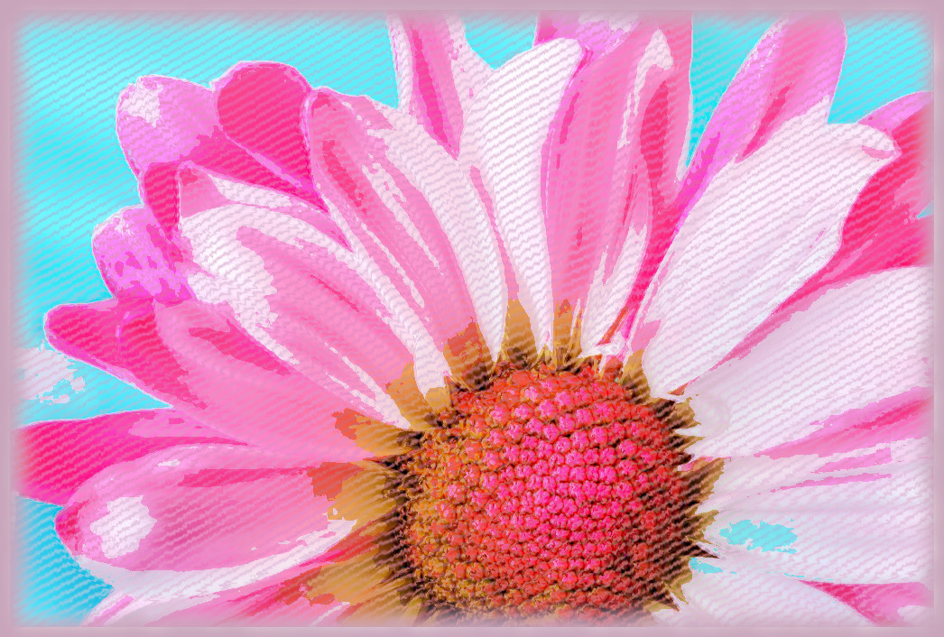 flower-3140492_DN_Draws2Phases_GimpEval-2.jpg