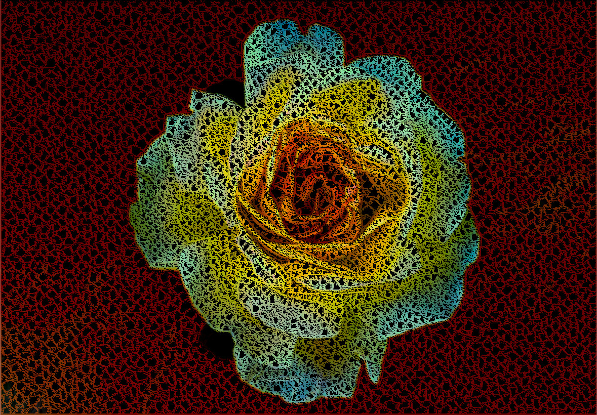 bloom-blossom-flora-237382_DN_ColouredPatternCrochet-GimpEval-2.jpg