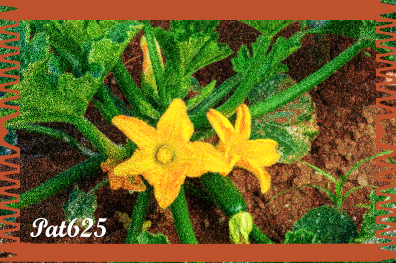 Diego.Poster Add Structure 2.10.Flowers.jpg