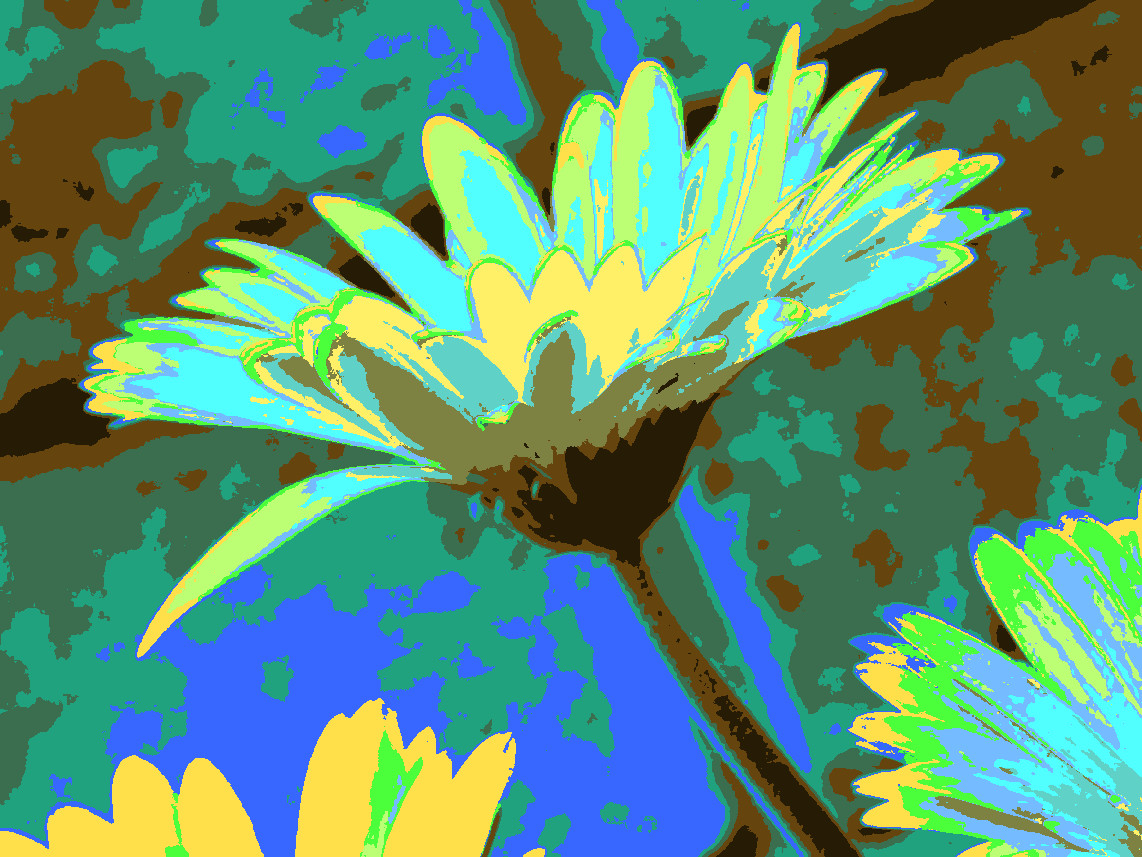DSCN3559_DN_Warhol_GimpEval-2.jpg