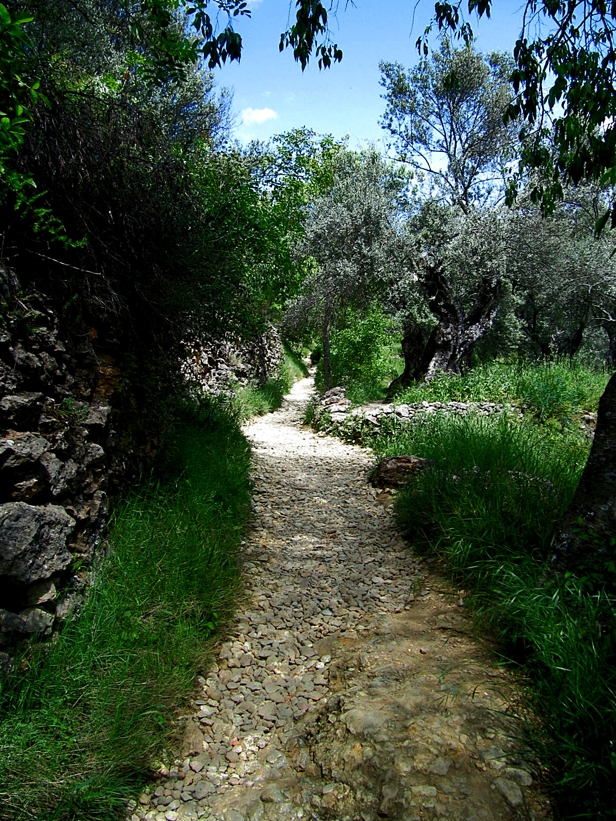 Path1.JPG
