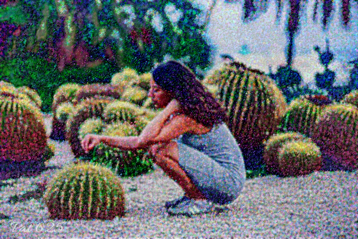 Diego.Pointillism Effects 2.10. Girl with Cactus.jpg