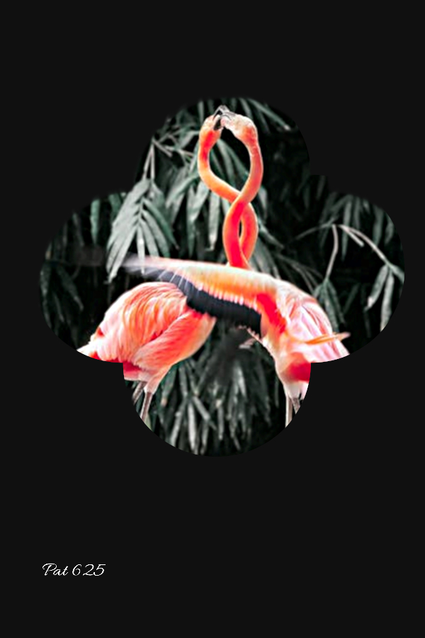 Diego.Evidence of Selection.Hard Bevel.Flamingoes.jpg