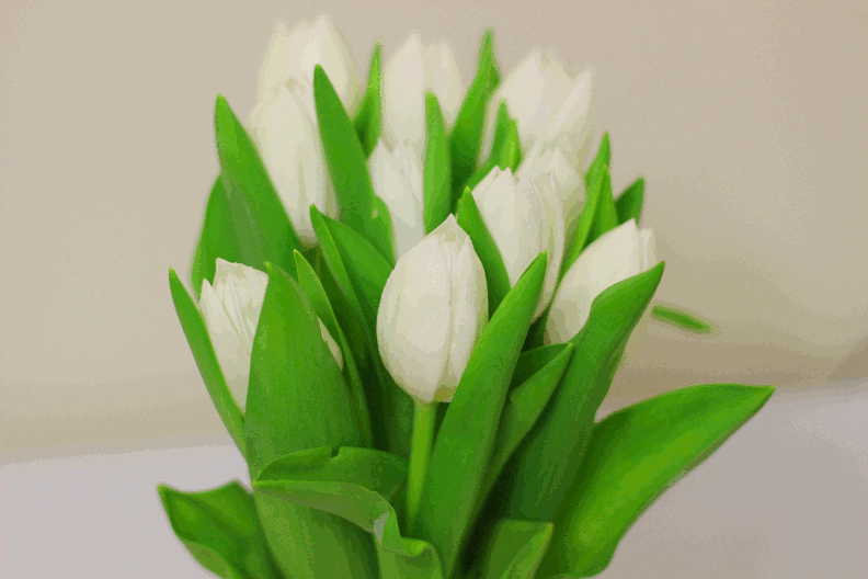 DN.NewspaperDither.Tulips.gif