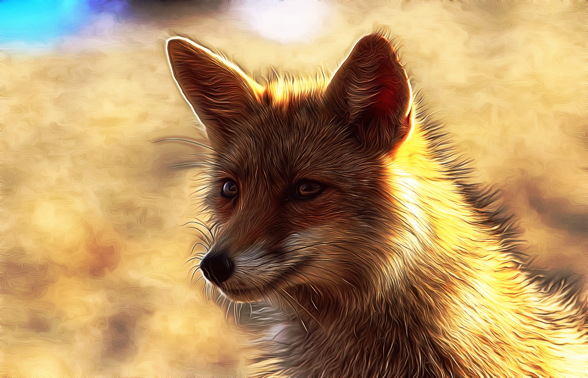 fox_dream_smoothing.jpg