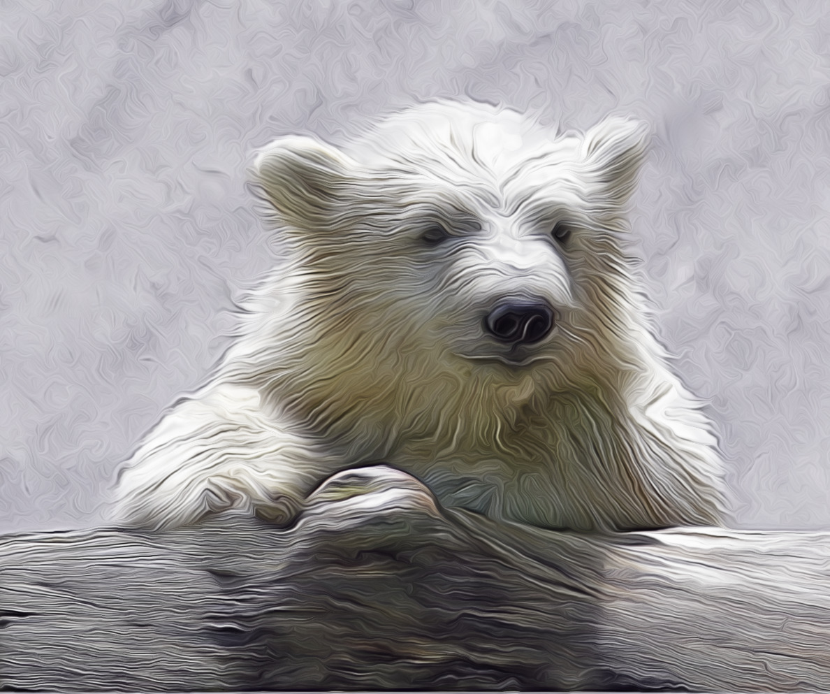 Polar_cub_PeterGC.jpg