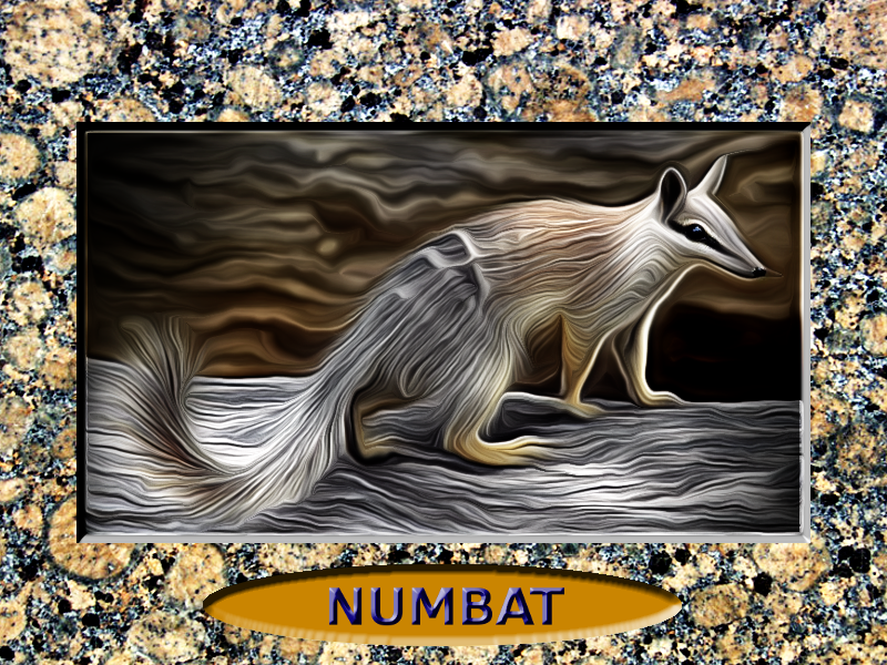 numbat_peter.png