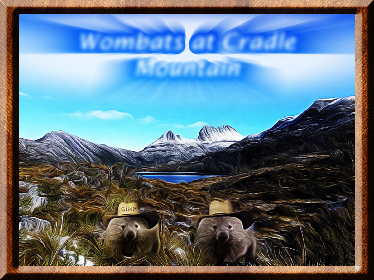 cradle_mtn_wombats_peter2.png