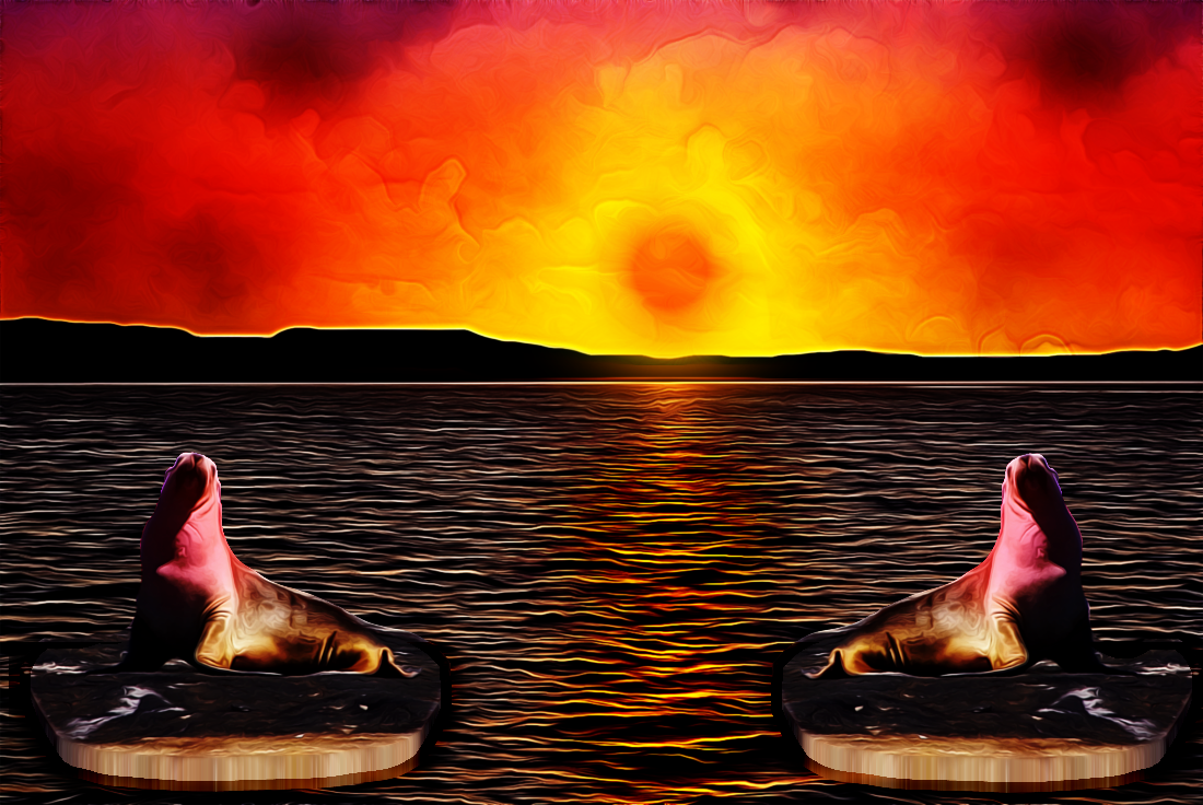 sharkb ay_sunset_peter_plus.png