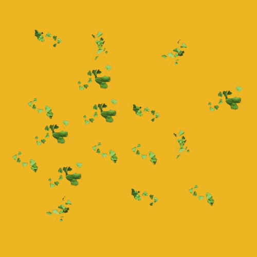 example-of-gih brush.png