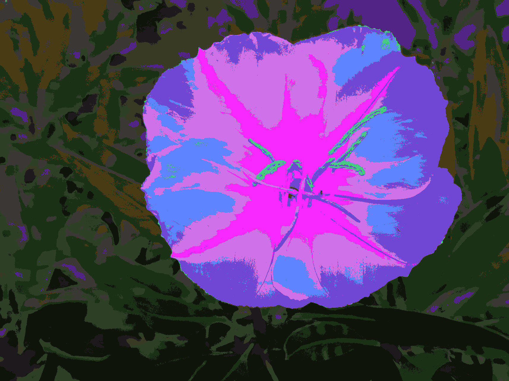 2018-07-24 18-01-13 evening, as a Warhol painting using random colours, 13 areas.jpg