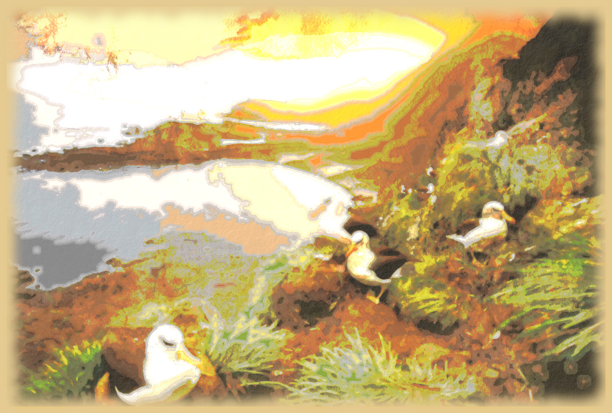 2018-08-01 07-50-41 albatross-nesting-colony-south-georgia-island, with a watercolour effect.jpg