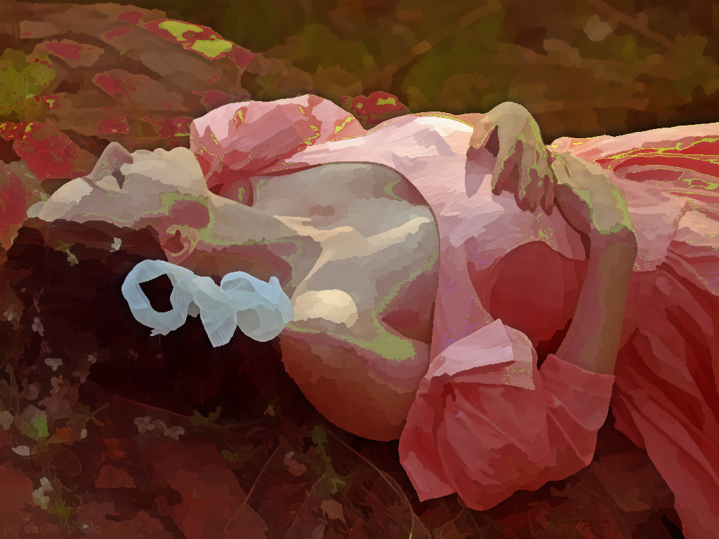 1_by_darkelfphoto-dchumf6_PaintLook-thru-Waterpixels.jpg