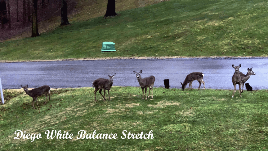 Diego White Balance Stretch 2.10.6.gif