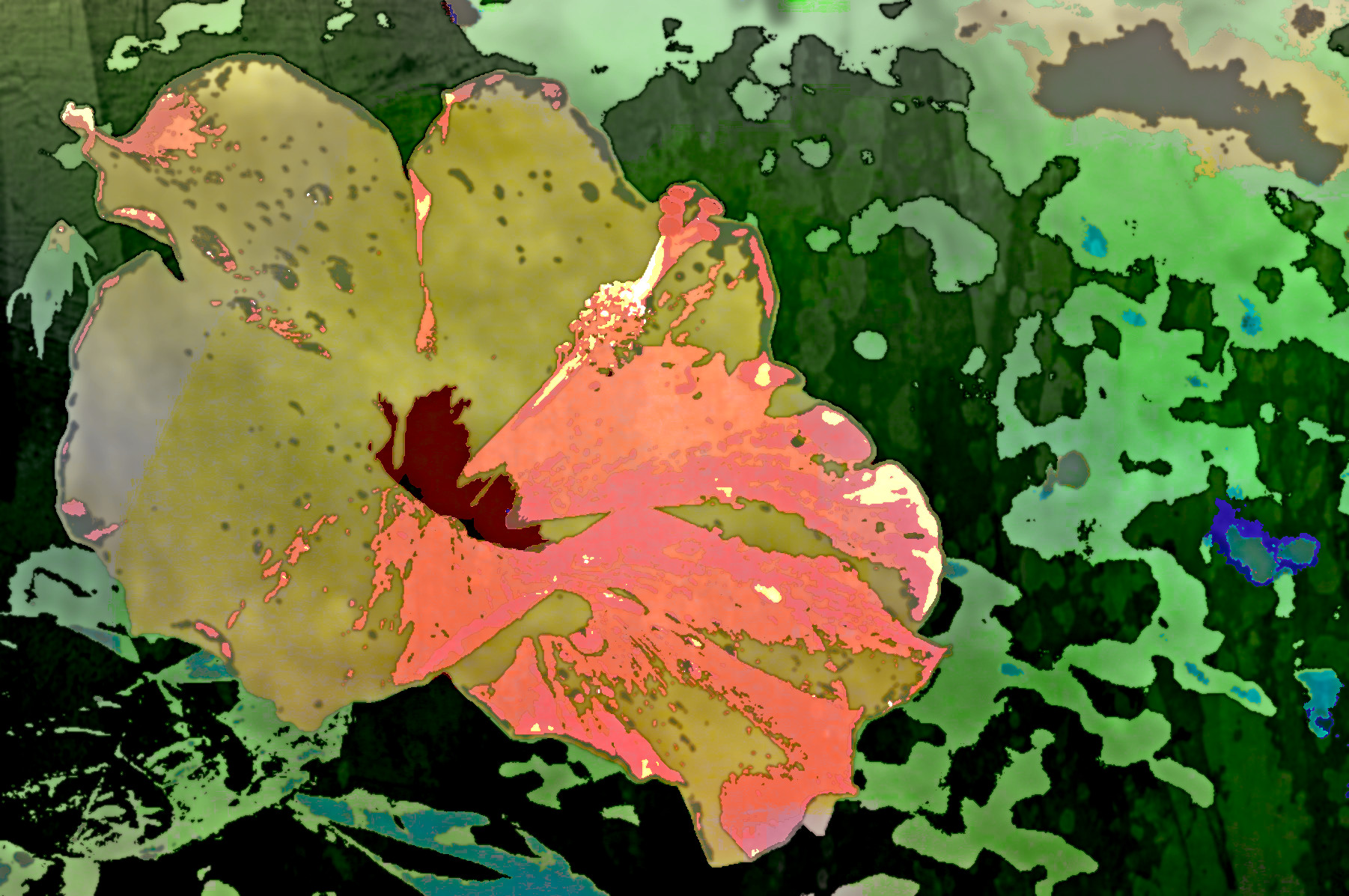 2018-09-19 06-12-40 flower_photograph_by_evestitch-dcn58mm, filled with aqua patterns.jpg