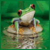 Green-Frog.gif