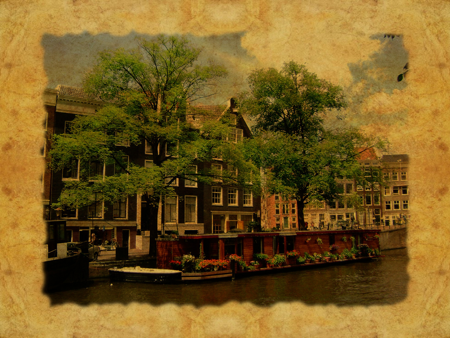 Trees_DN_FramePaperD_Gimp-2.10.jpg
