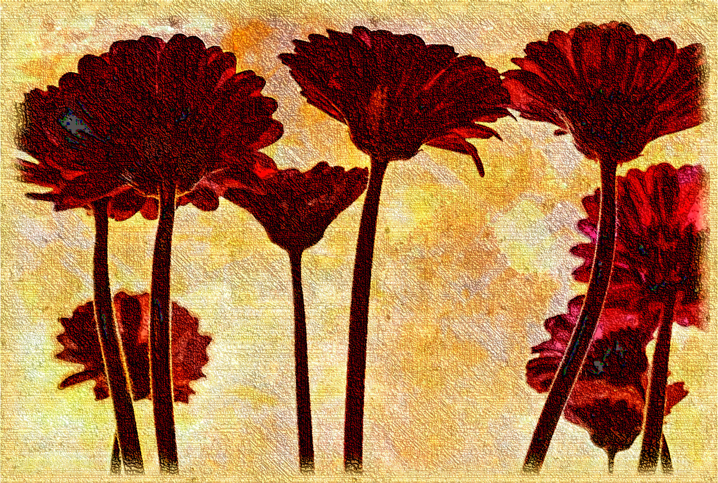 flowers-3705716_DN_AquaLook_PaperFrame_LinesLook.jpg