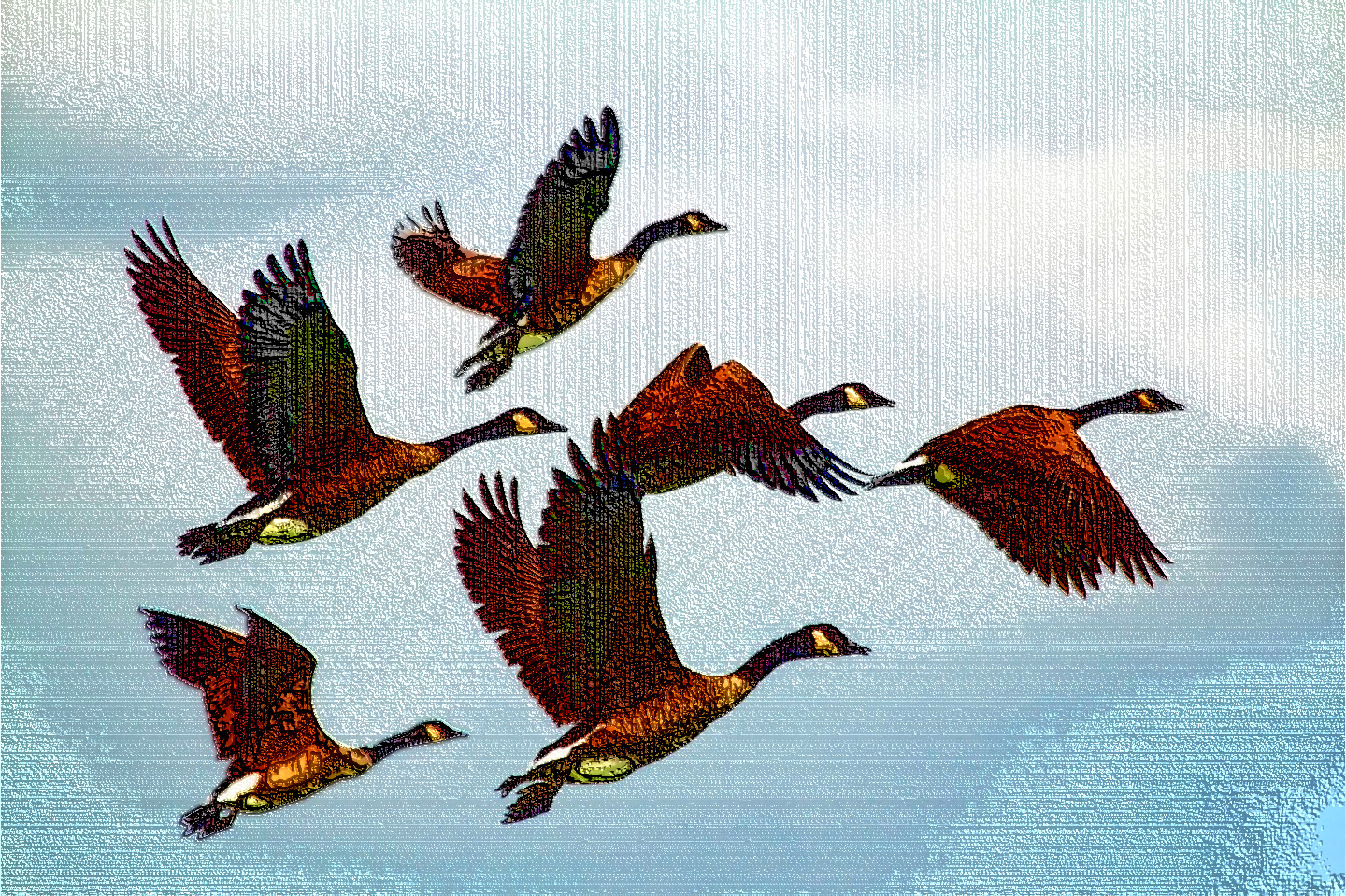 geese-1990202_DN_LineLook.jpg
