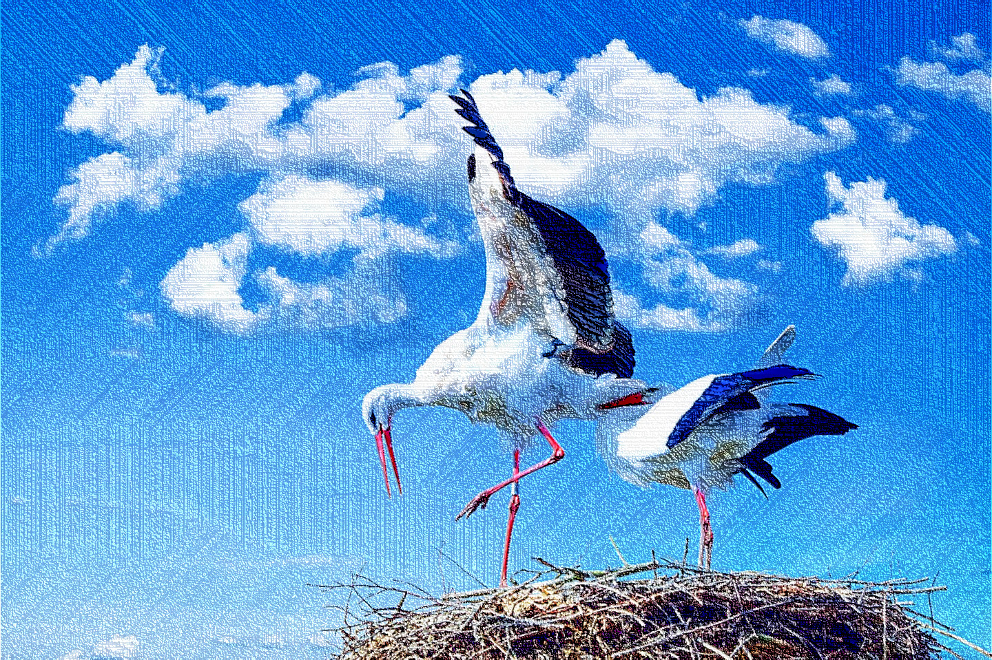 stork-838424_DN_LineLook.jpg