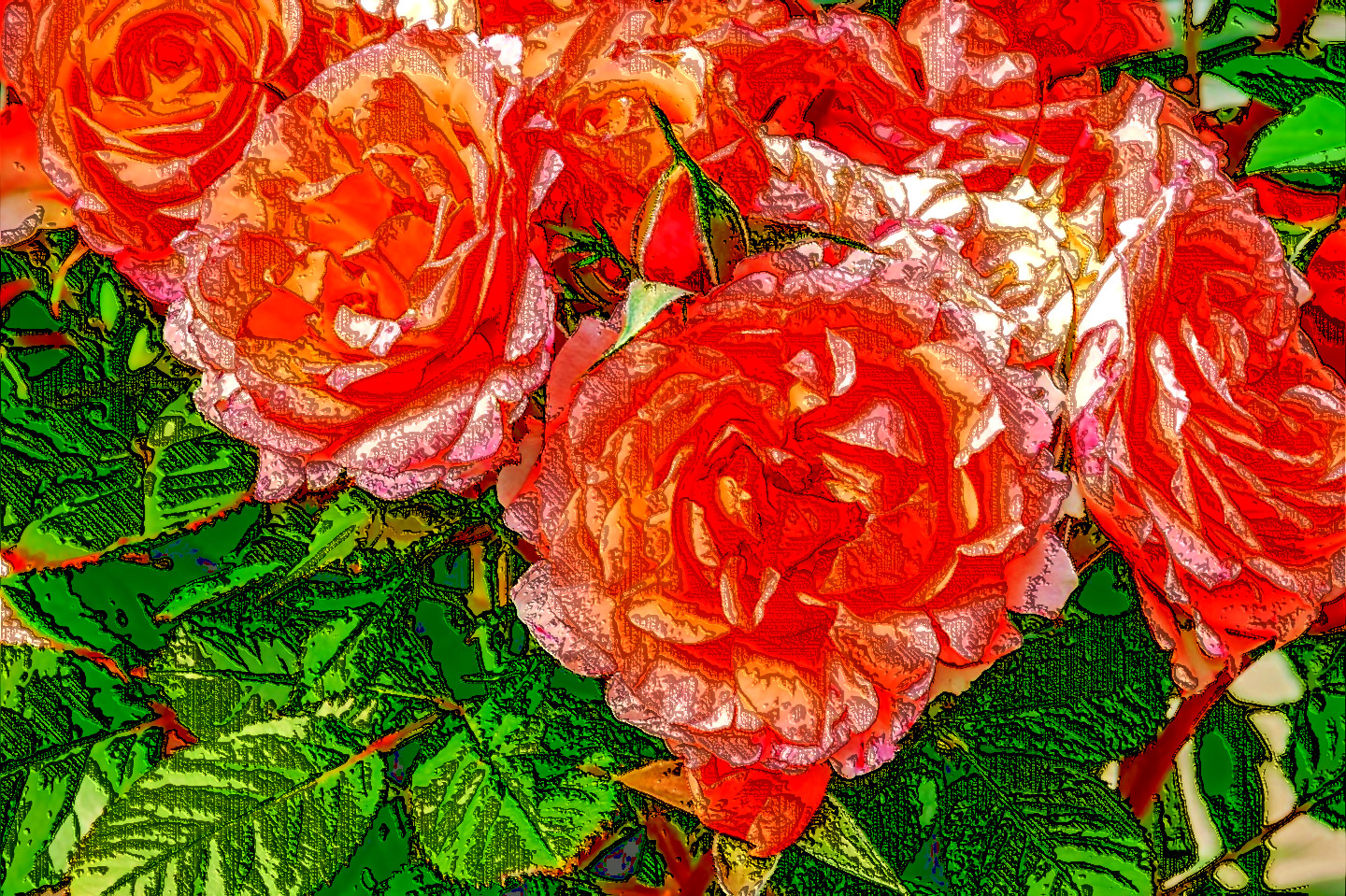 roses-3611502_DN_LineLook.jpg