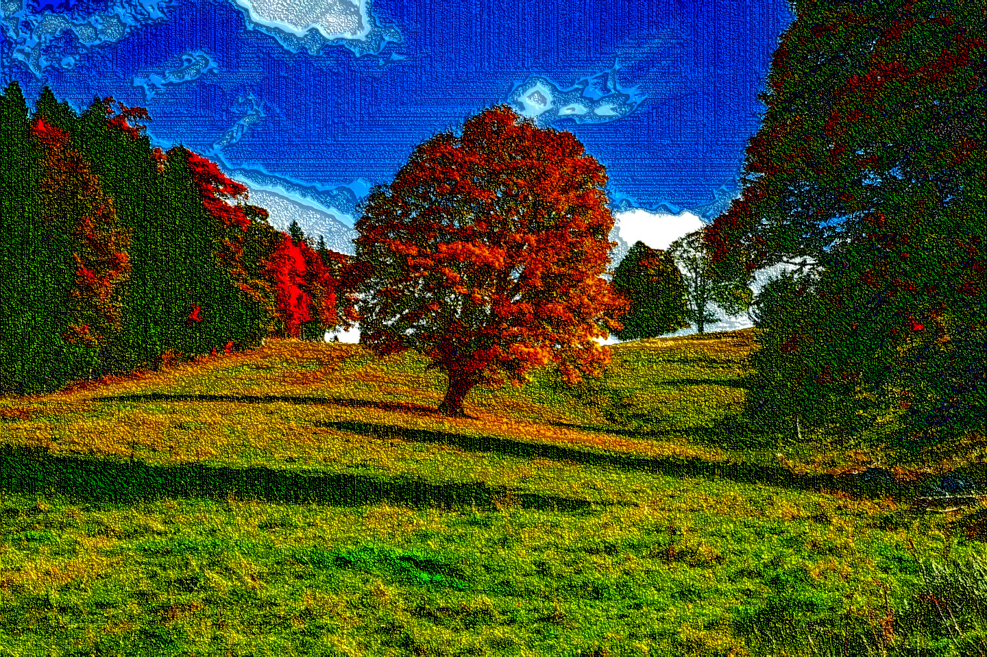 tree-3601248_DN_LineLook80.jpg