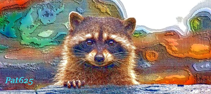 DN_Draw Lines Look 2.10. Raccoon.jpg