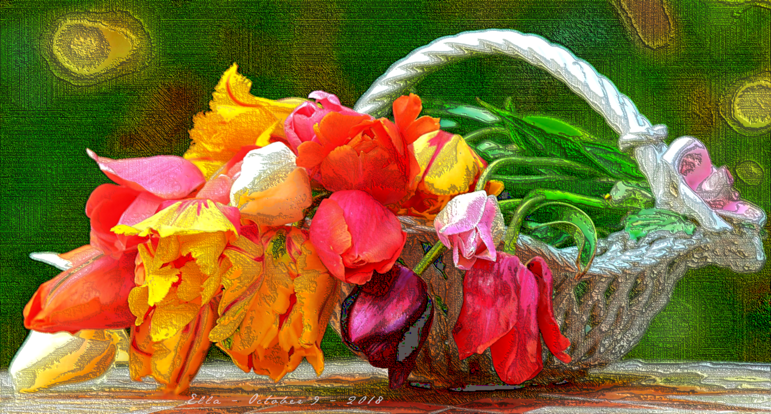 tulips.lines.look.diego.png