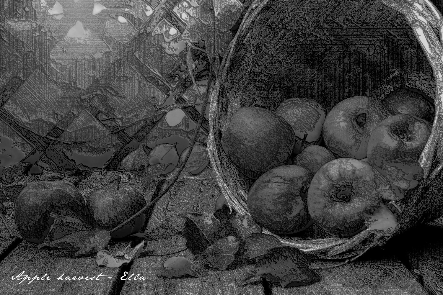 apple_harvest.desaturated.png