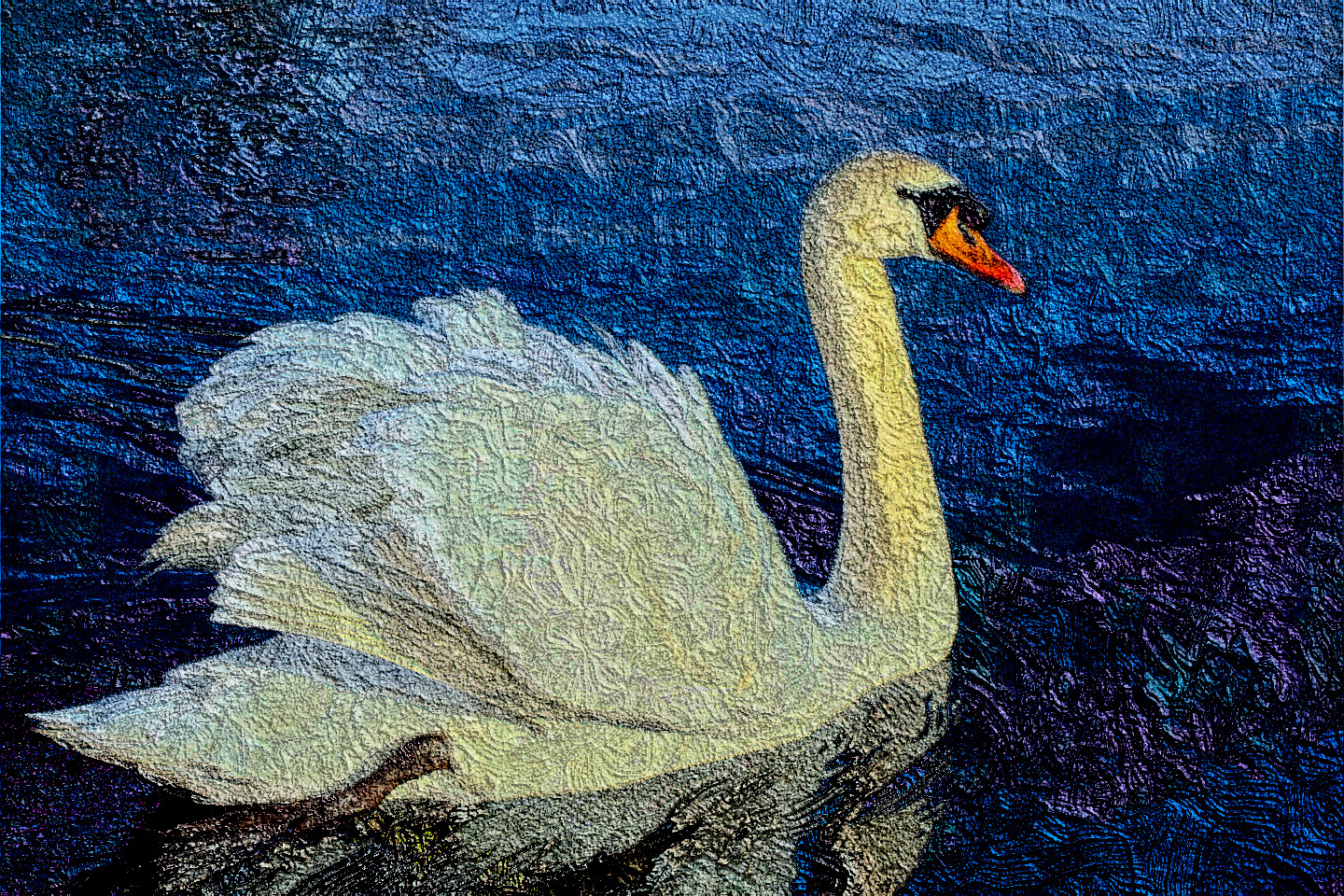 swan-644413_DN_ImpastoLook.jpg