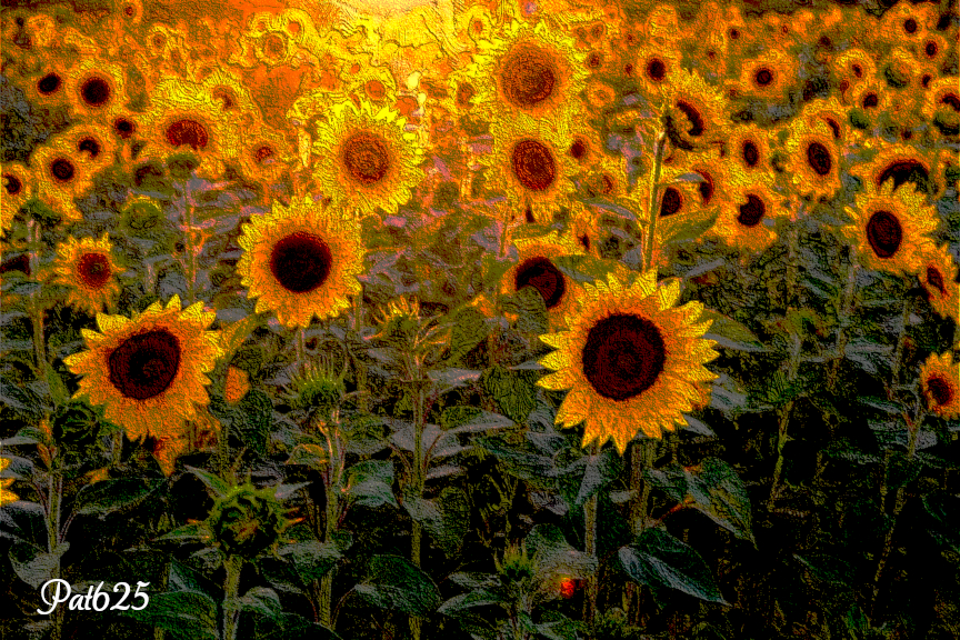 DN_Impasto Look 2.10. Sunflowers.jpg