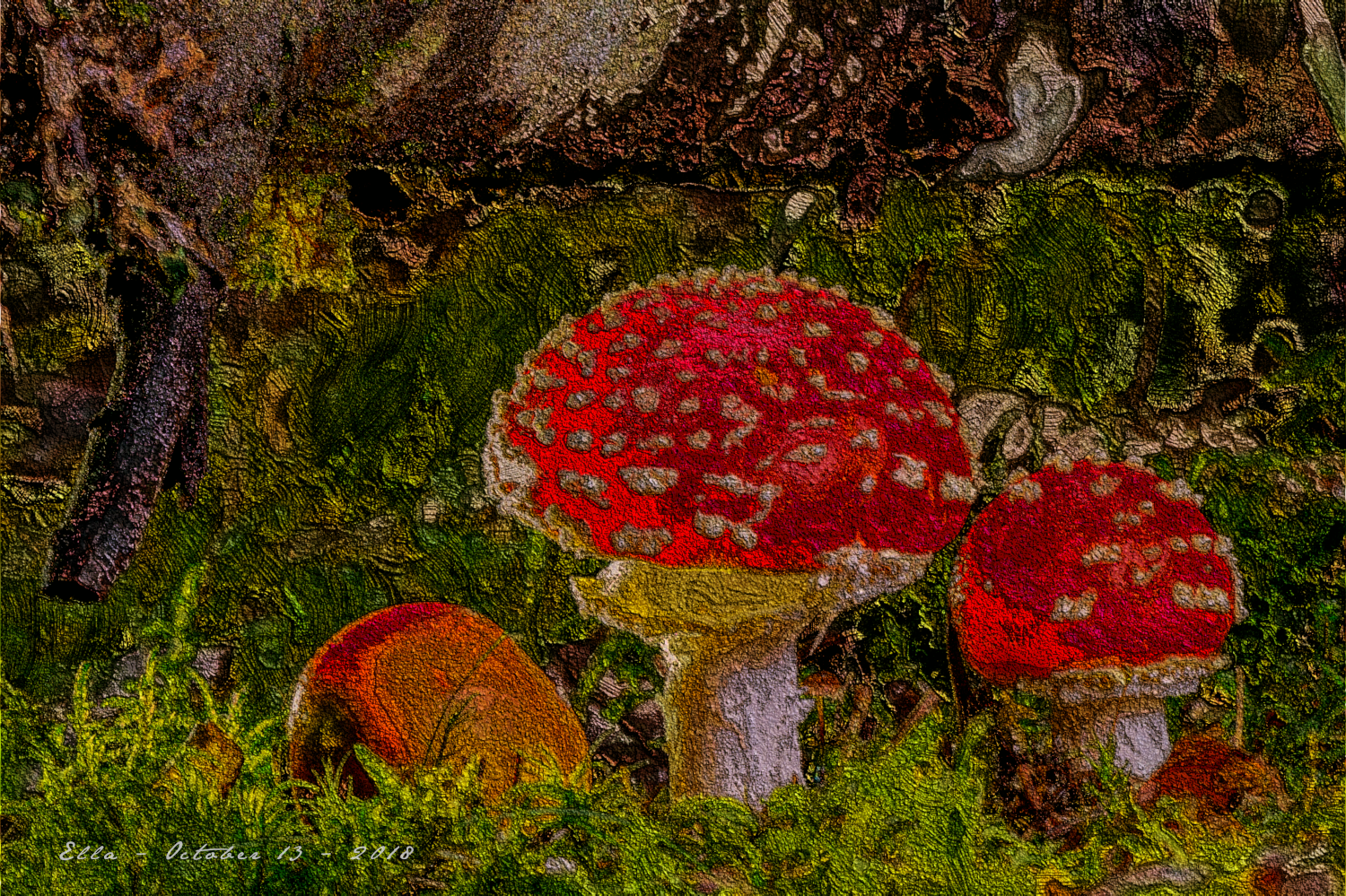 mushrooms.impasto.look.diego.png