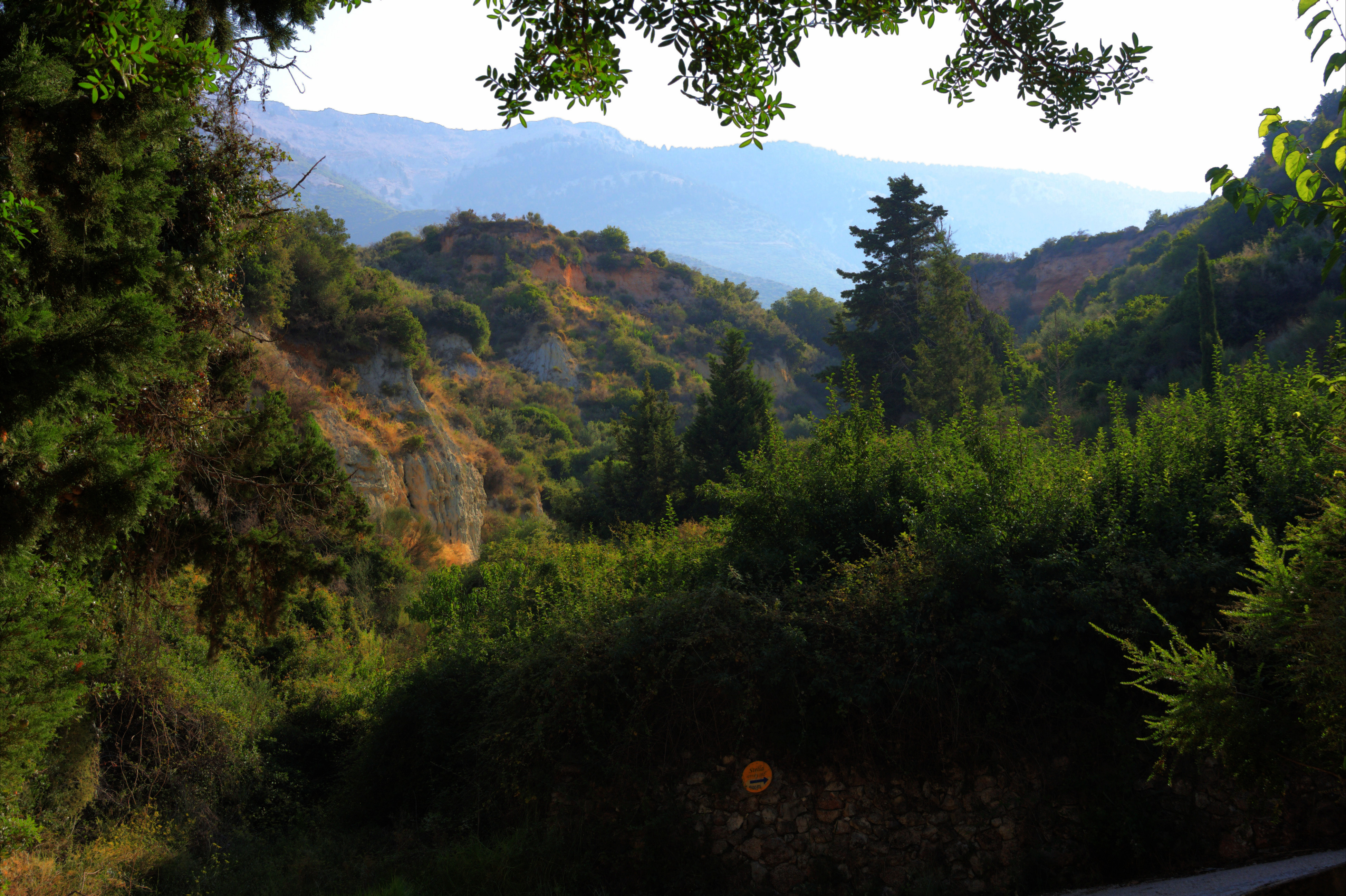 landscape_dn1.jpg