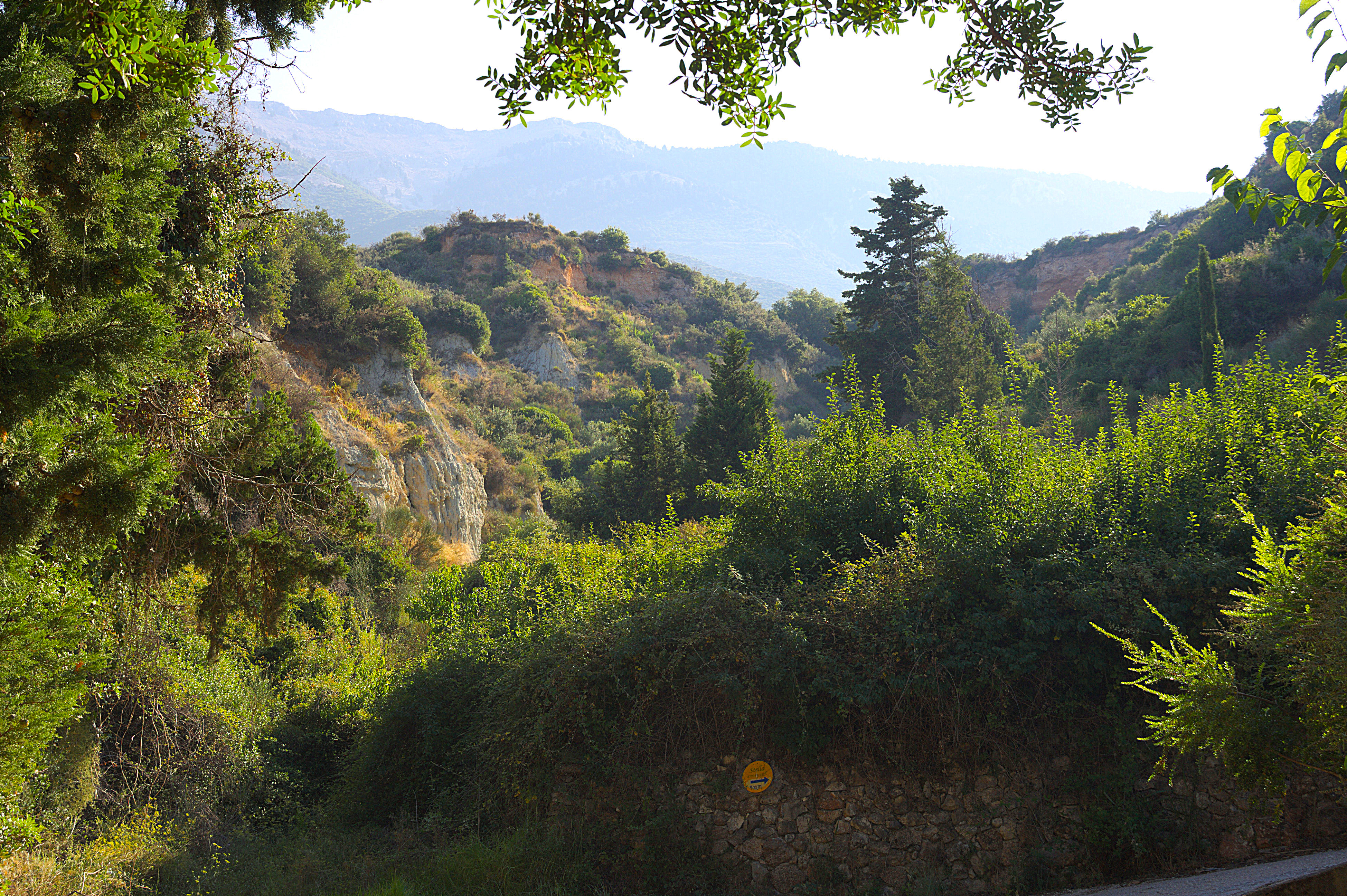 landscape1.jpg
