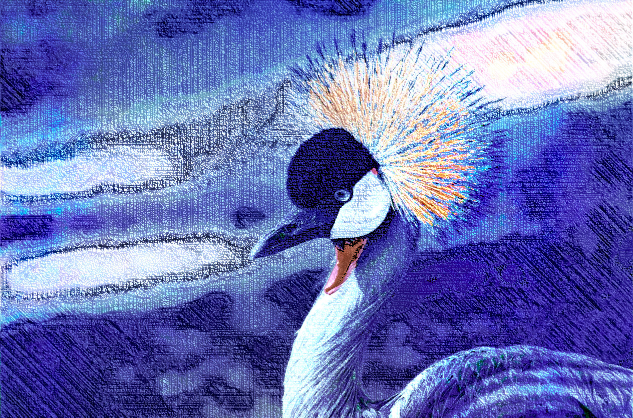 grey-crowned-crane-3057840_DN_LinesLook_AquaLook.jpg