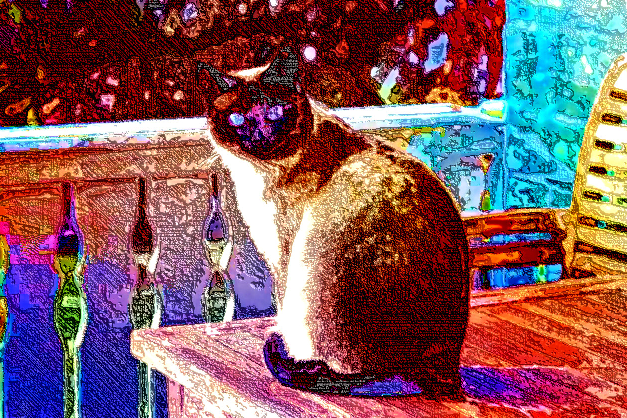 adorable-animal-blur-326875_DN_AquaLook_LinesLook.jpg