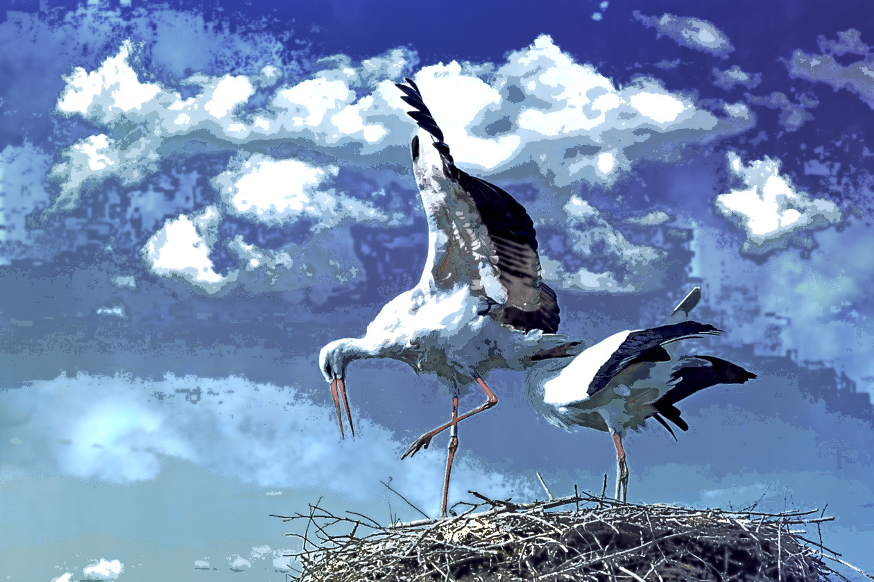 stork-838424_DN_AquaLoo.jpg
