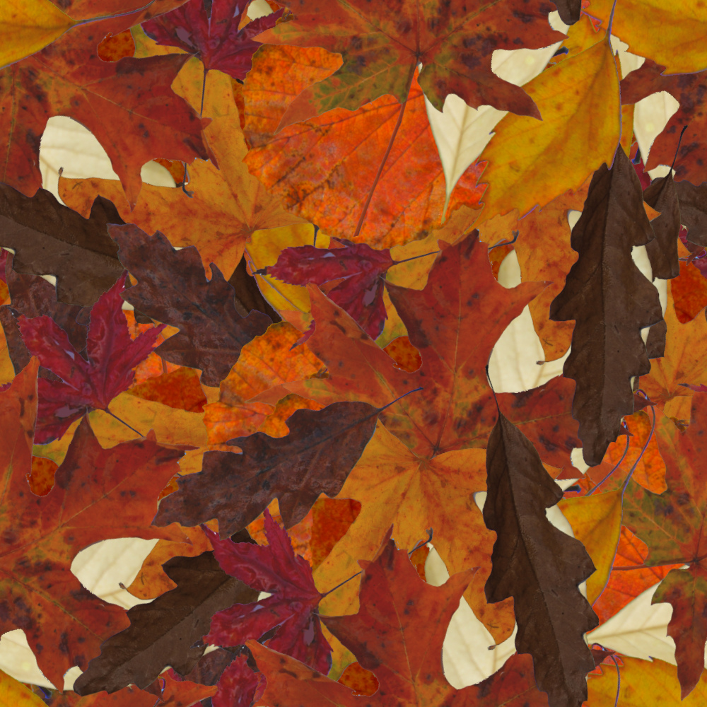 fall_leaves.jpg