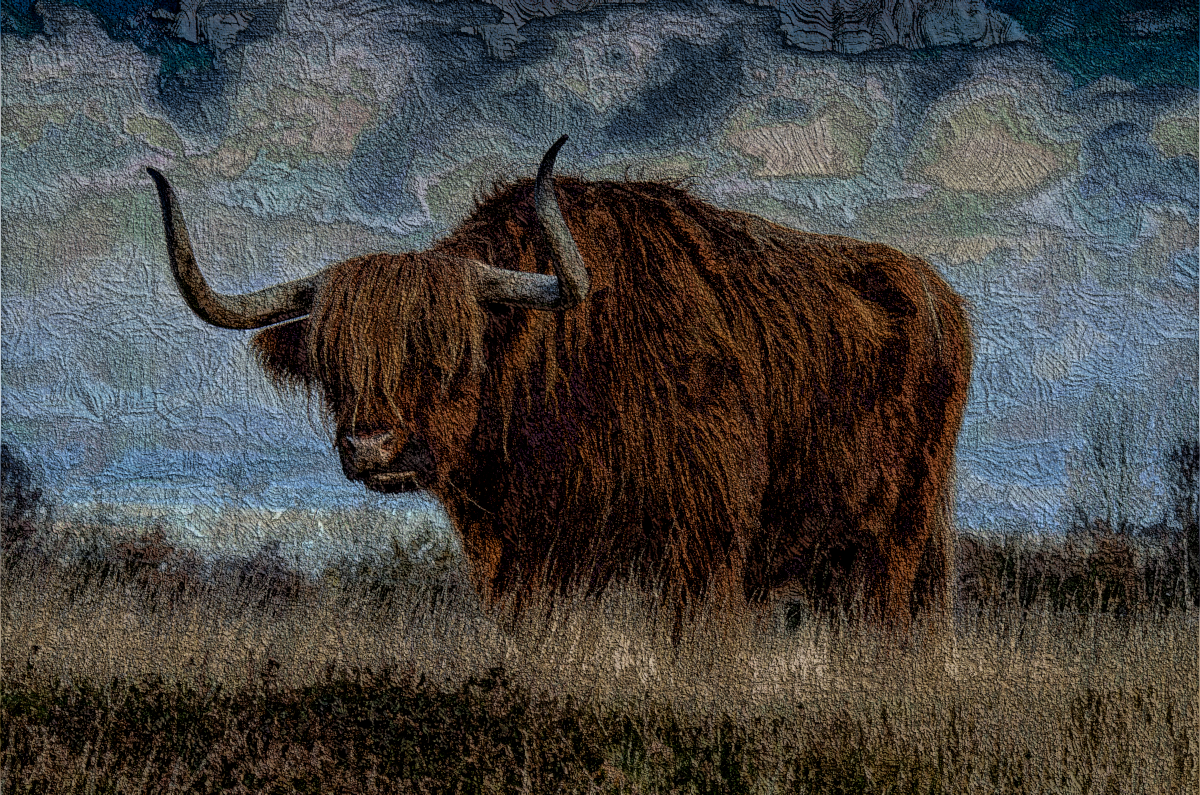bull_impasto.look.DN.png