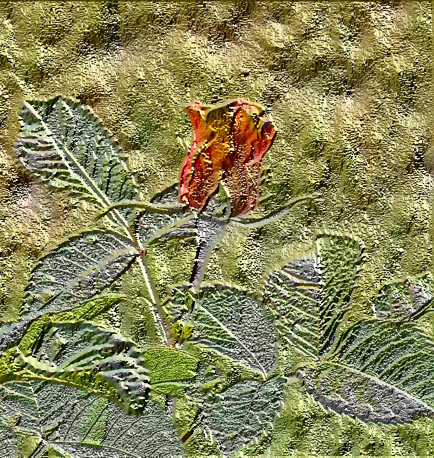 autumn_rose_by_spm62-dcpx9qe_forOMG.jpg