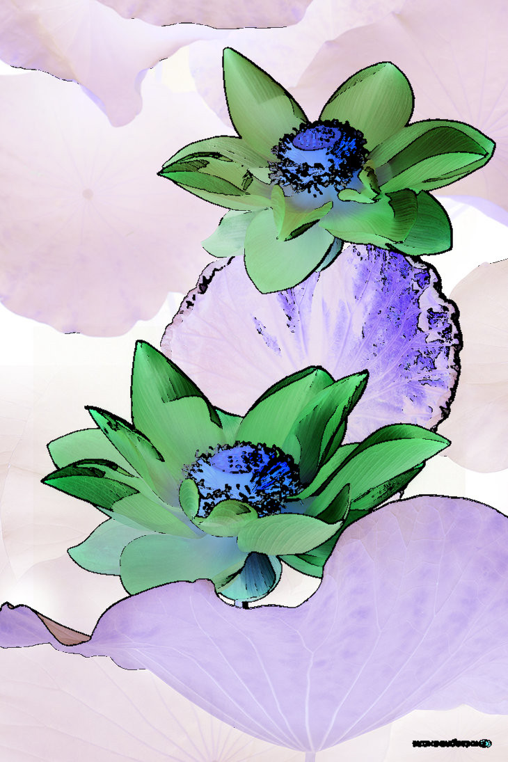 002_by_duongquocdinh-d6nhic9%28original%29_Issa.jpg