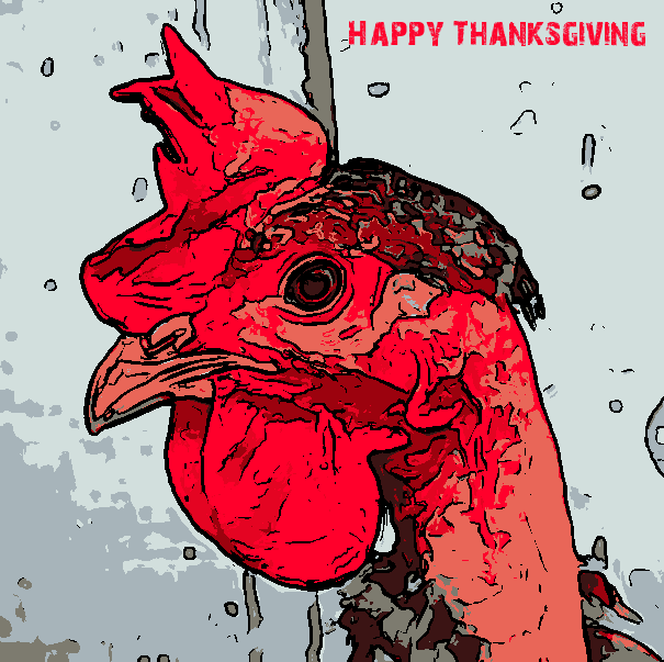 1574_gc-thanksgiving-us2013_Odinbc.png