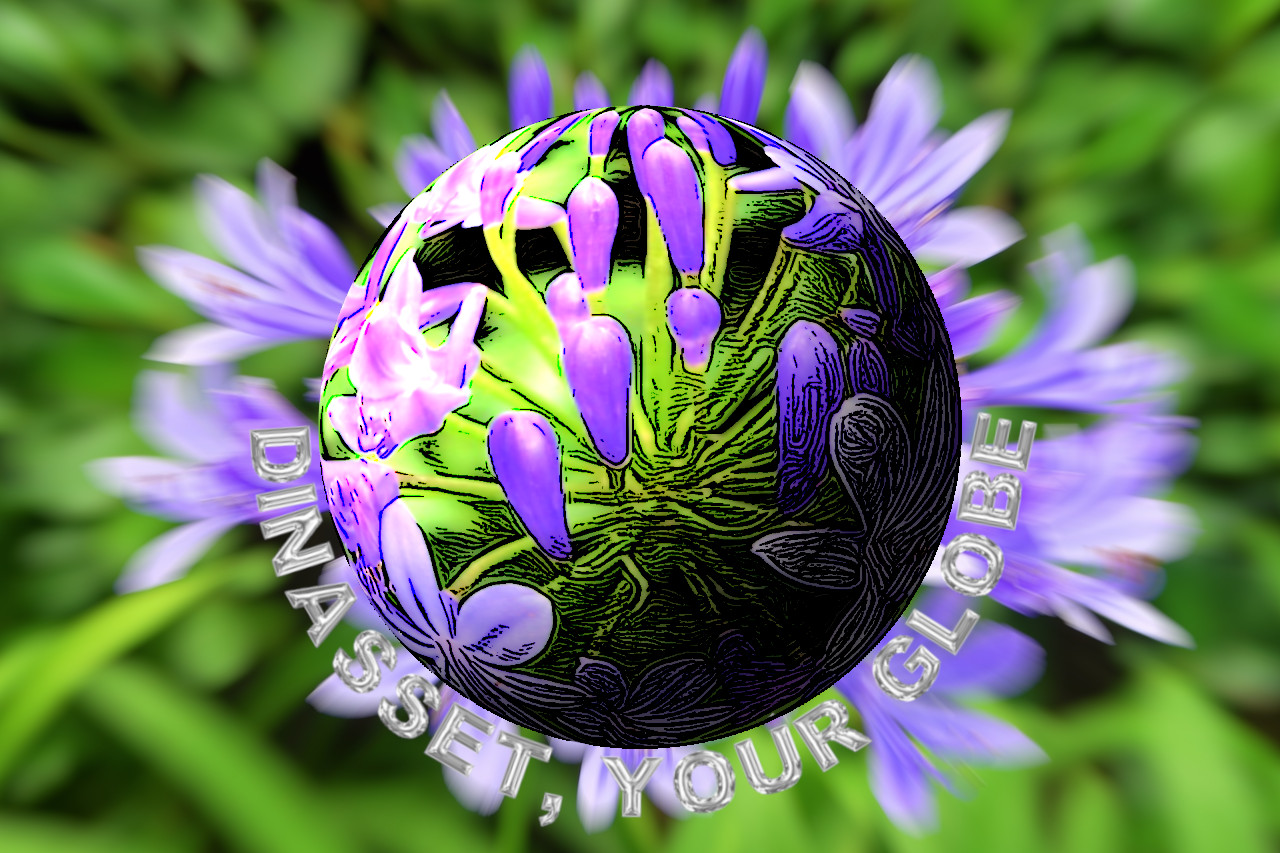flower-3843290_DN_Globe_View.jpg